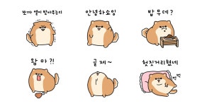 아따!~ 나가 전라도 깔롱쟁이 뽀멘디~