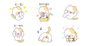 애옹이의 느긋한 일상