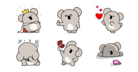 코코알라