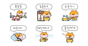 아지는 오늘도 운전아지!