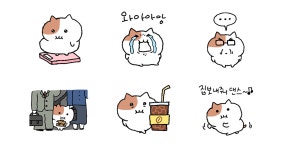 뎅뎅이네덮밥&짜글이 - 서구 화정로85번길 11-1 | 짜글짜글 쫀냐미 2