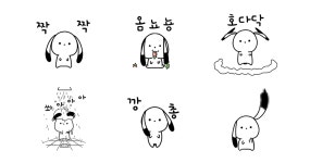 뽀짝토끼 끼요미