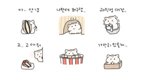 핵소심 햄찔이
