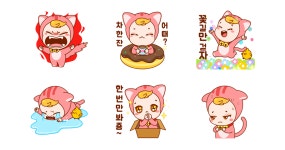 오늘도 냥냥