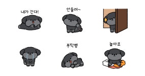 사랑스러운 깜장 푸들 꼬몽쓰