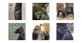 고릴라 말말말
