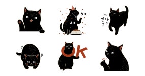 남은 고양이 고선생