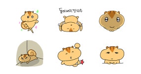 도롱도롱 다봉이