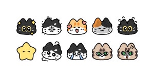 작은 고양이랑고양이랑