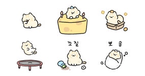 뽀송뽀송 치즈 솜털냥이