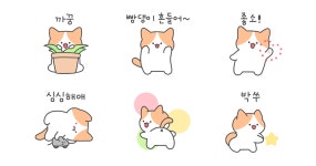 똥꼬발랄 찌즈냥!