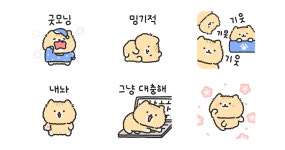 빱실빱실 고영이