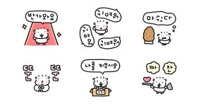말티즈 말랭이