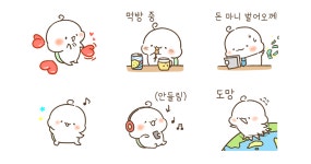 귀욤뽀짝 거북이, 부기 등장! 2