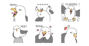부산 갈매기