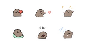 뚜지의 바쁜 하루