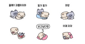 친구네집 콩꼬물 울집 샤미랑 연애중