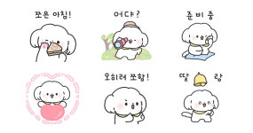나는 아가 말티쭈야!