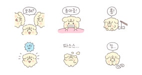 우리집 애교쟁이 막내, 베로