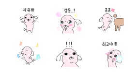 백숙 강아지 강사장