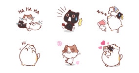 뚱띠와 아기냥 친구들