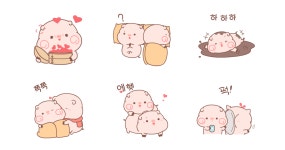 사랑스러운 돼지 피요