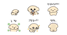 우리집 콩까루