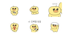 노랑 병아리
