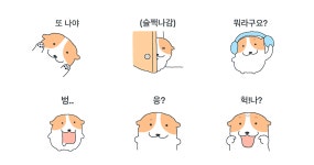 웃상 웰시코기 땡꼬