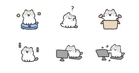 뽀송뽀송 고등어 솜털냥이