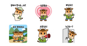 장흥소, 너 참 귀엽소