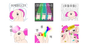 미용실 강아지 핑키
