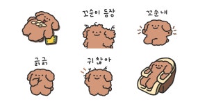 집이 최고야! 우리집 꼬순이