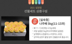 실속 나주배 선물세트 5kg 11-13과 - NS홈쇼핑
