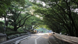 바다 품은 도심 산책 코스ㅣ테마여행ㅣ인천투어