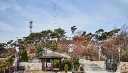 숲길 걸으며 자연 속에서 휴양하기ㅣ테마여행ㅣ인천투어