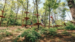 초록 숲에서 휴양하기ㅣ테마여행ㅣ인천투어