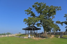 한양 방어의 최전선, 강화도ㅣ추천여행ㅣ인천투어