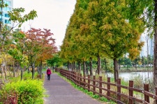 가을에 더 낭만적인 호수공원 산책 ㅣ추천여행ㅣ인천투어 가을에 더 낭만적인 호수공원 산책  ㅣ추천여행ㅣ인천투어