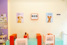 셔터만 누르면 견생샷 완성!ㅣ테마여행ㅣ인천투어