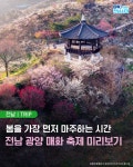 한쪽매거진 | 유달정보신문 (주) 유미디어 목포의 모든 생활서비스