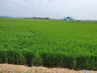 현경면 | 토지/임야 3749㎡ 매매가 15,876만원 | 정직한공인중개사사무소 