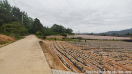 미암면 | 토지/임야 2339㎡ 매매가 5,660만원 | 복덕방공인중개사사무소 