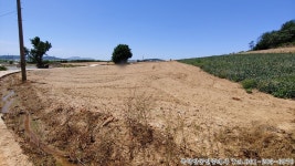 운남면 | 토지/임야 1215㎡ 매매가 3,700만원 | 복덕방공인중개사사무소 