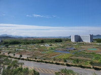 삼향읍 | 근화베아채비올레 146.17㎡ 매매가 41,000만원 | 집사람공인중개사사무소 