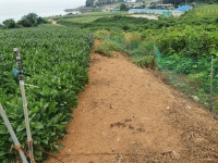 화원면 | 토지/임야 13158㎡ 매매가 99,500만원 | 정직한공인중개사사무소 