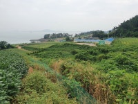 화원면 | 토지/임야 13158㎡ 매매가 99,500만원 | 정직한공인중개사사무소 