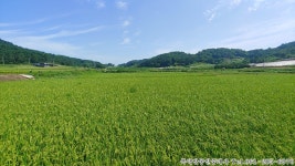 청계면 | 토지/임야 1434㎡ 매매가 2,700만원 | 복덕방공인중개사사무소 