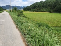 북일면 | 토지/임야 3081㎡ 매매가 5,600만원 | 정직한공인중개사사무소 