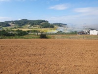 압해읍 | 토지/임야 1770㎡ 매매가 17,130만원 | 정직한공인중개사사무소 